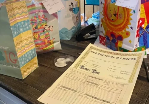 What Makes AKC Registered German Shepherd Puppies Special