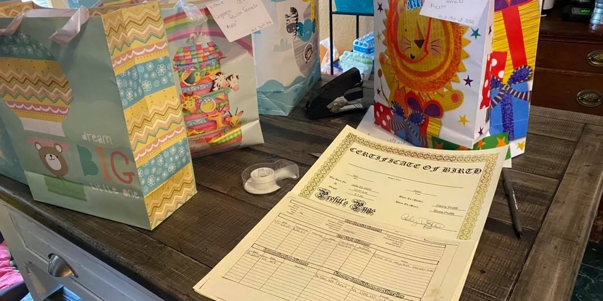 What Makes AKC Registered German Shepherd Puppies Special