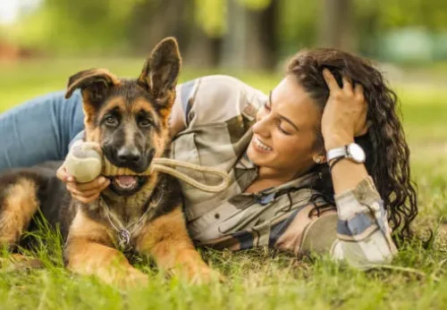 Why German Shepherds Are the Perfect Family Dogs