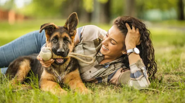 Why German Shepherds Are the Perfect Family Dogs